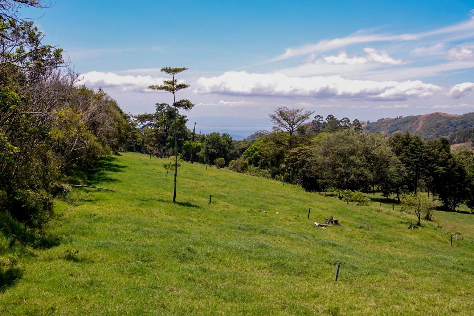 Cabana Indira Monteverde Kültér fotó